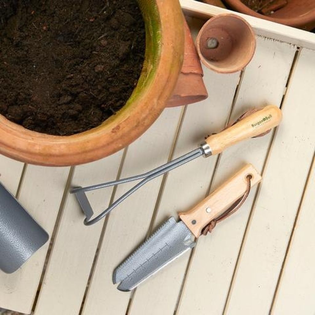  Couteau Désherbeur Dentelé Burgon & Ball - Gamme RHS