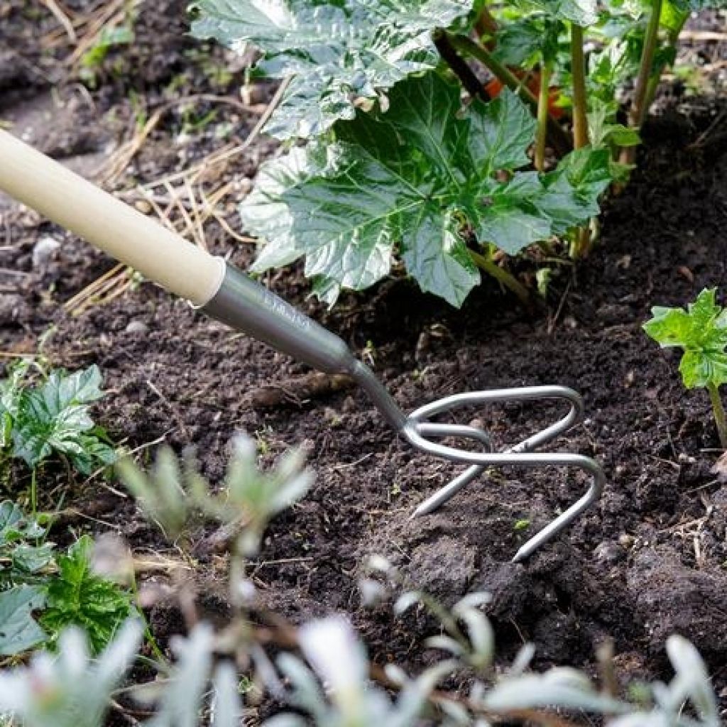  Cultivateur 3 Dents à Manche Long Burgon & Ball - Gamme RHS