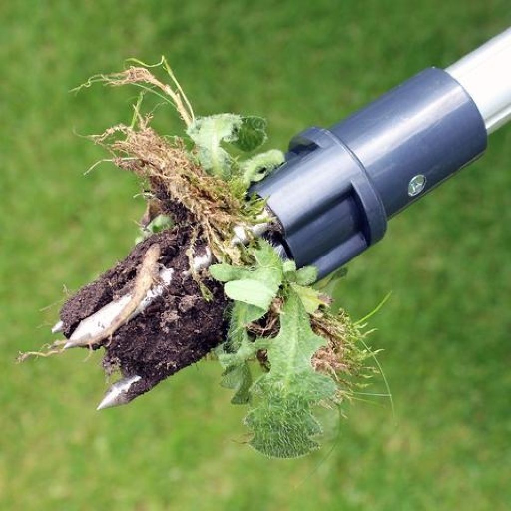 Désherbeur Wonder Weed Puller Burgon & Ball