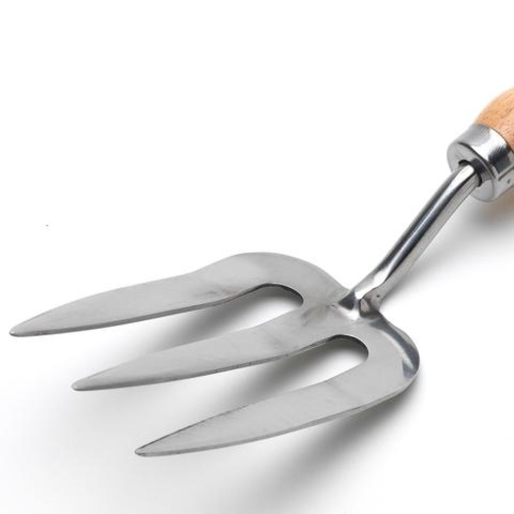  Fourche à Fleurs 3 Dents Burgon & Ball - Gamme RHS