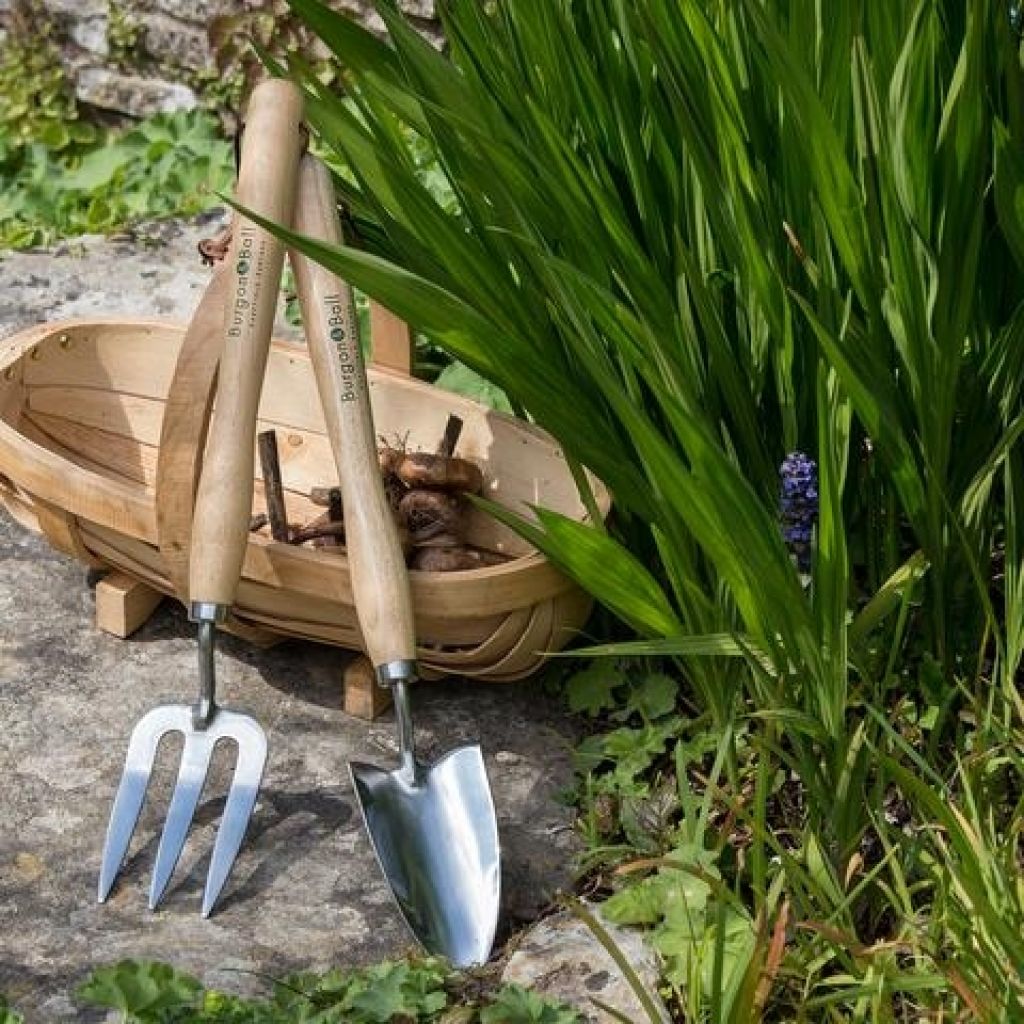  Fourche à Fleurs à Manche Moyen Burgon & Ball - Gamme RHS