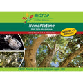  Nématodes NémaPlatane Biotop Contre Les Tigres Du Platane Boîte De 100 Millions