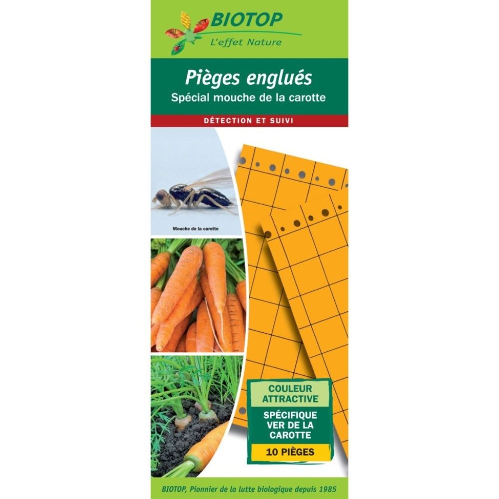  Piège Chromatique (plaques Engluées) Orange 25 X 10 Cm - Boite De 10