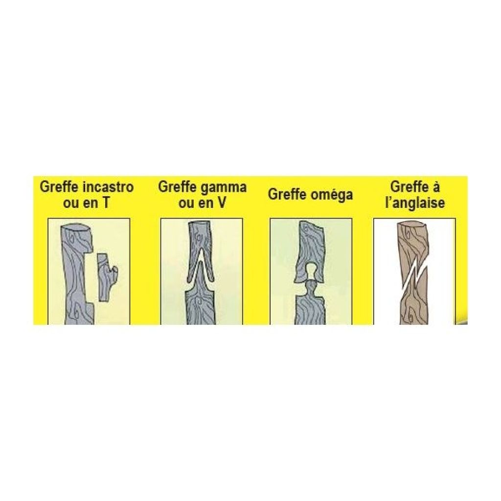  Pince à Greffer Italienne A45
