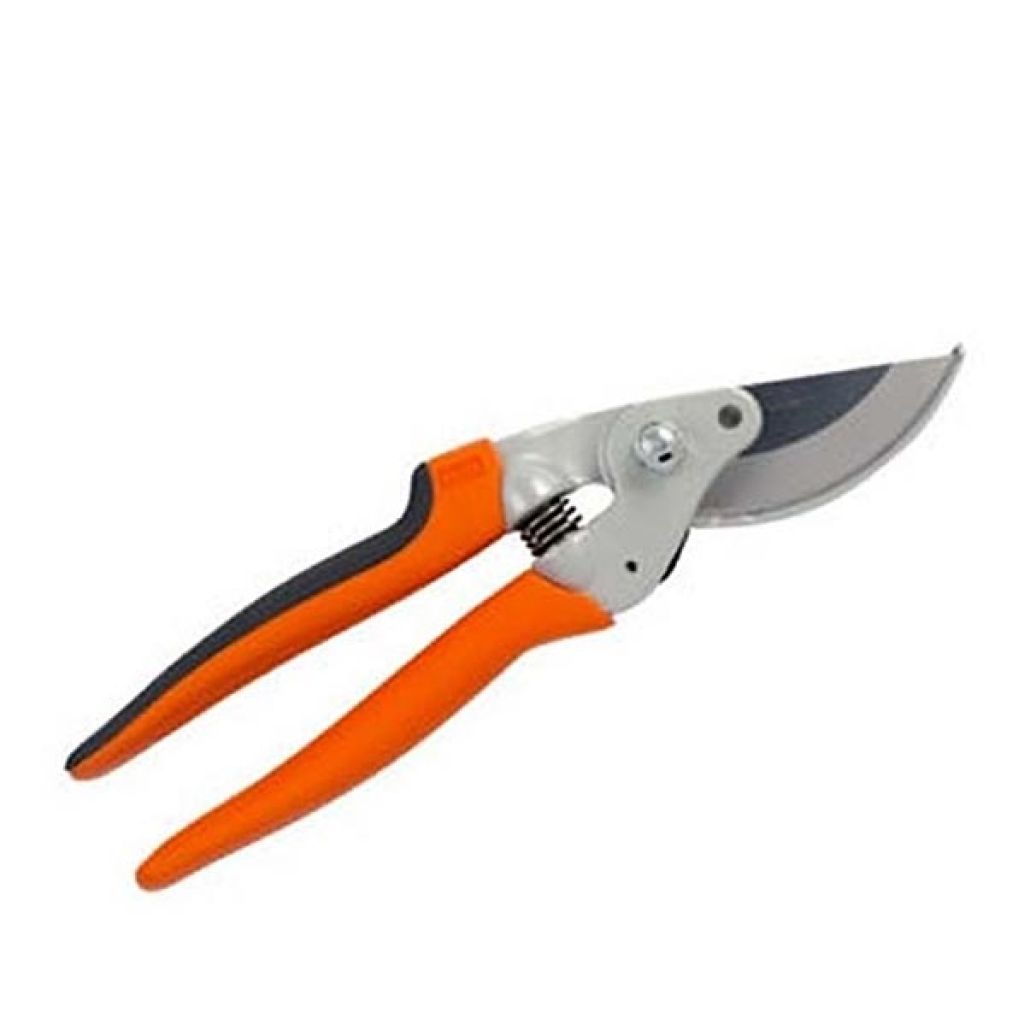  Sécateur Professionnel Forgé Bahco P5-23-F
