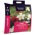  Terreau Pour Dipladenia Et Fleurs Du Sud En Sac De 20L