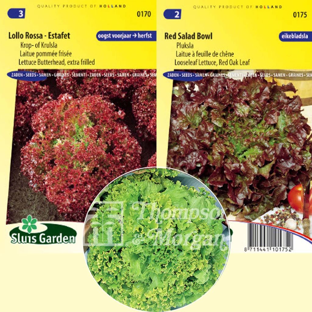  Collection De 3 Salades à Couper