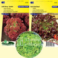  Collection De 3 Salades à Couper BIO