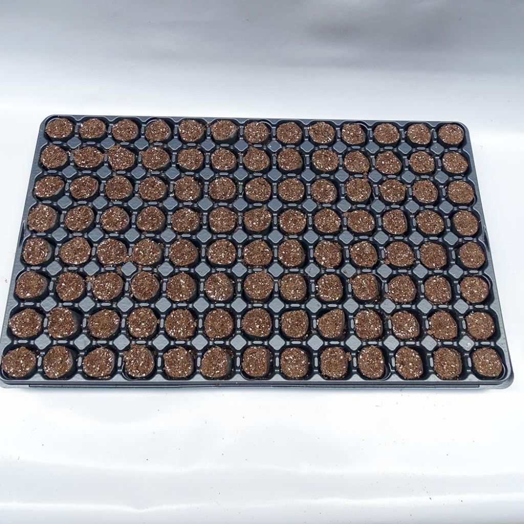  Kit Plateau Et Mottes Fertiss 3 X 3 Cm De Fertil : Plateau De 104 Mottes