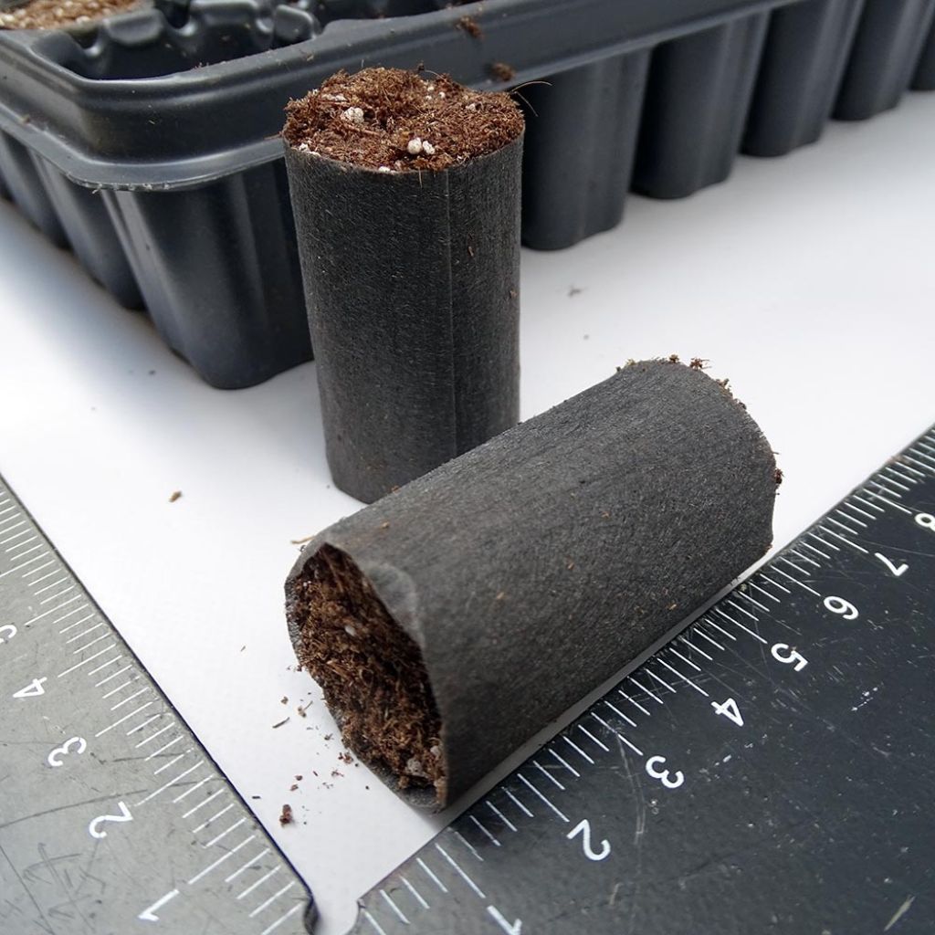  Kit Plateau Et Mottes Fertiss 3 X 5 Cm De Fertil : Plateau De 104 Mottes