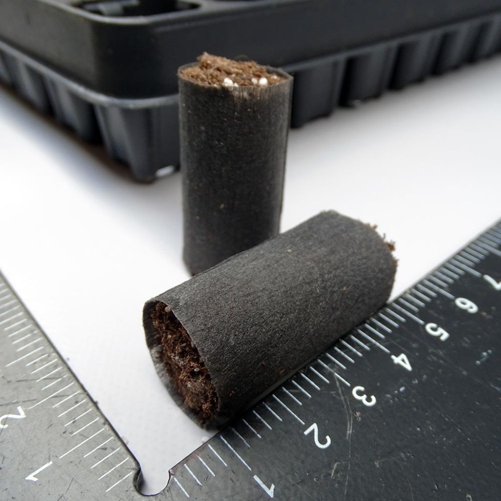  Kit Plateau Et Mottes Fertiss 2 X 4 Cm De Fertil : Plateau De 150 Mottes