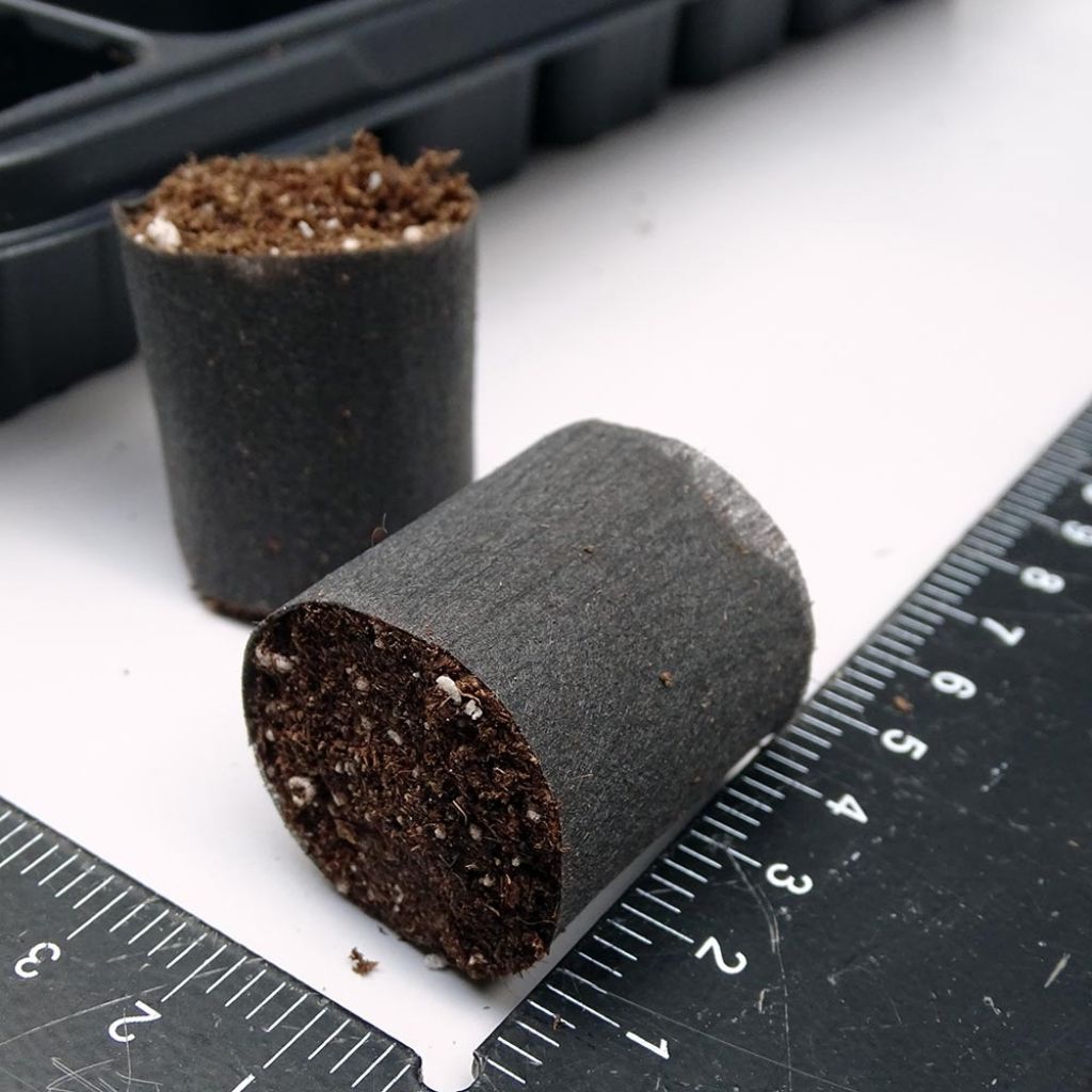  Kit Plateau Et Mottes Fertiss 3.2 X 3.5 Cm De Fertil : Plateau De 84 Mottes